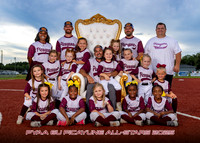PYAA 6U All-Star Softball (white) 2025