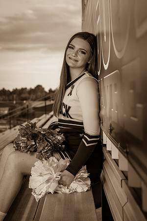 IMG_2549_sepia_tone