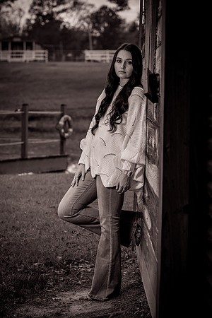 IMG_7081_sepia_b&w_twist