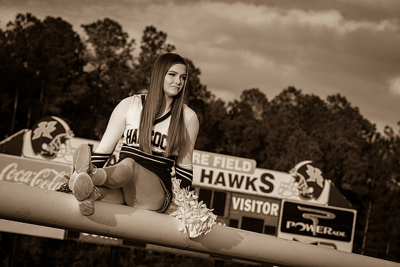 IMG_2624_sepia_tone