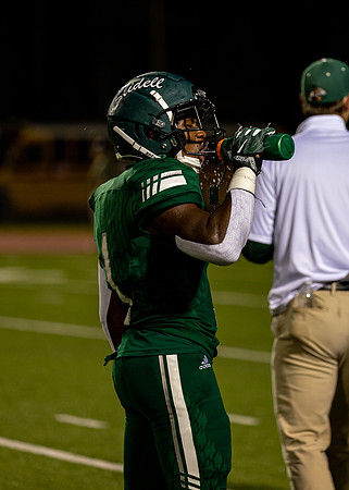 Tamaj Hoffman #1 (4)