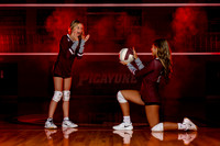 745A1061 copy