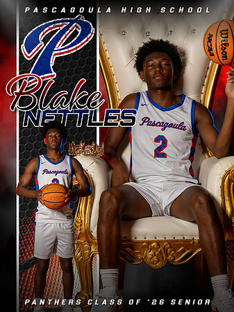 Blake Nettles copy