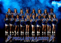 PRCAA Devils Cheer 2025-2026