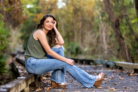 745A4164 copy