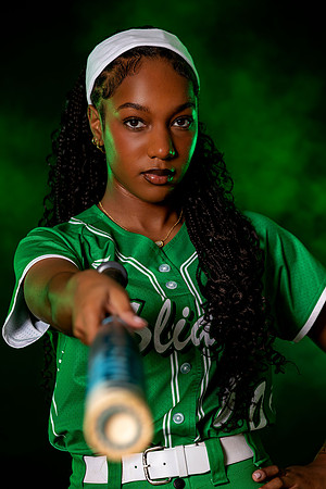 745A8795 copy