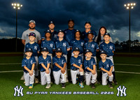 PYAA 8U Yankees Baseball Team 2026
