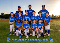 PYAA Dodgers Baseball Team 2026
