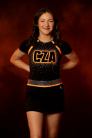 745A7385 copy
