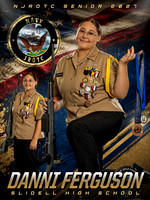 Danni Ferguson copy