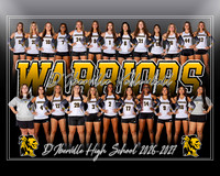 DHS Lady Warriors Volleyball Team 2026-2027