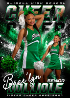 Braelyn Dolliole copy