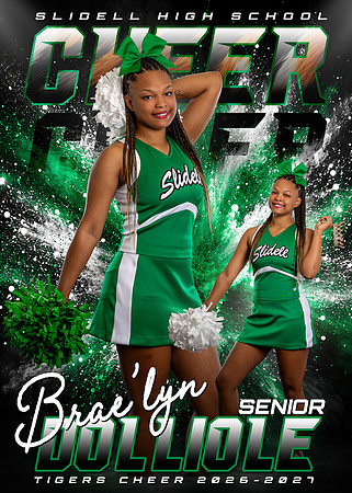 Braelyn Dolliole copy