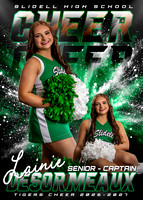 Lainie DesOrmeaux copy
