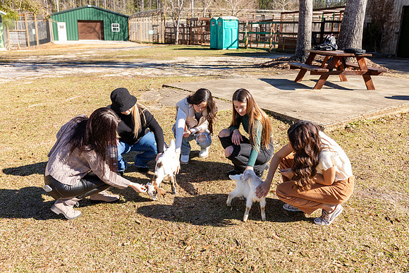 Rep_Team_Group1_Day1_SP23_209_5802