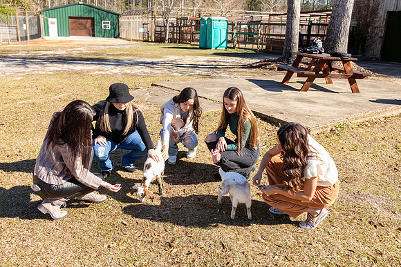 Rep_Team_Group1_Day1_SP23_202_5795
