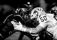 IMG_2654 copy