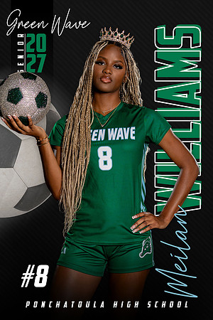 Meilan Williams copy