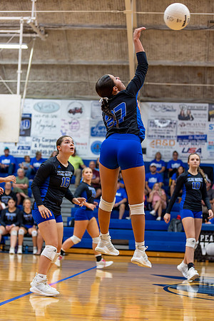 Brooklyn_C_VB_Action_2024_08_2986