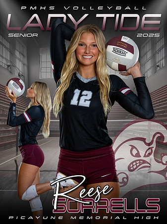 Reese Sorrells - PMHS Volleyball Banner 2025-02 copy