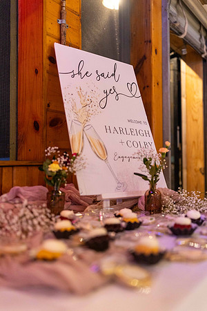 Harleigh_Colby_Engagement_2024_338_2099