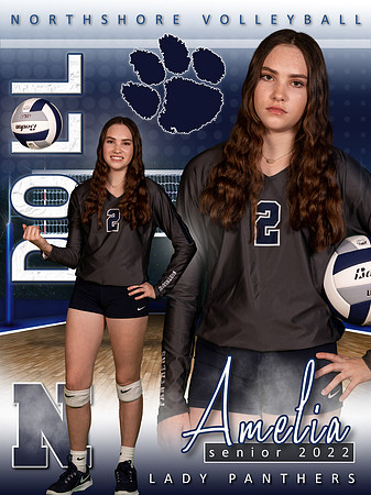 Amelia Doll - NHS Volleyball Banner 2022
