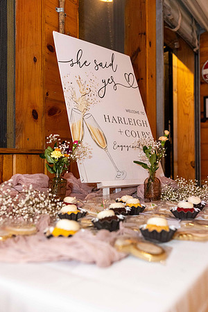 Harleigh_Colby_Engagement_2024_332_2093