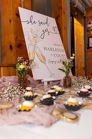 Harleigh_Colby_Engagement_2024_333_2094