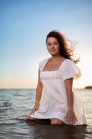 745A2333 copy