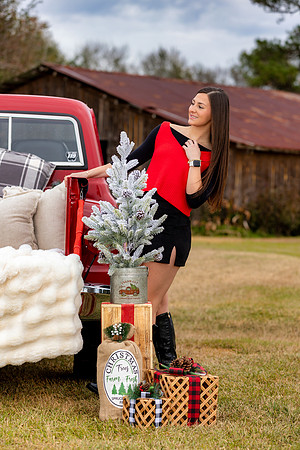 745A4390 copy