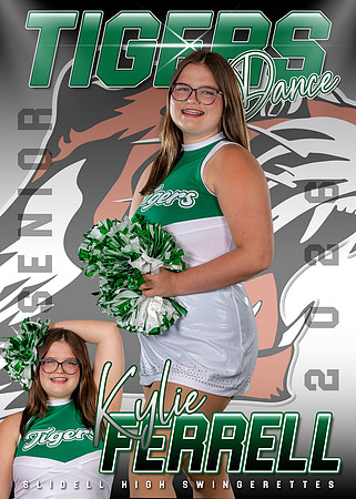 Kylie Ferrell - SHS Dance Banner 2026 copy 3