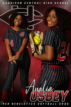 HCHS Softball Banner - Analia Osbey 2024-2025
