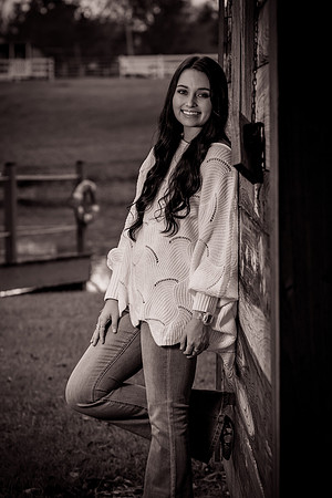 IMG_7078_sepia_b&w_twist