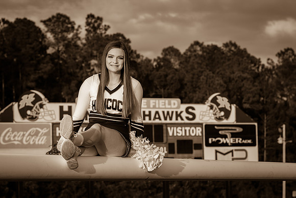 IMG_2619_sepia_tone