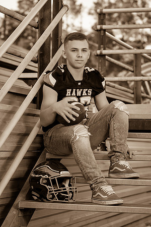 IMG_3303_sepia_tone