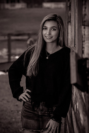 IMG_7090_sepia_b&w_twist