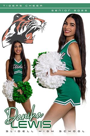 Danika Lewis - SHS Cheer Banner 2024-2025 copy