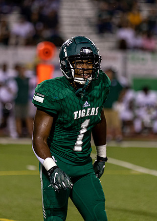 Tamaj Hoffman #1 (1)