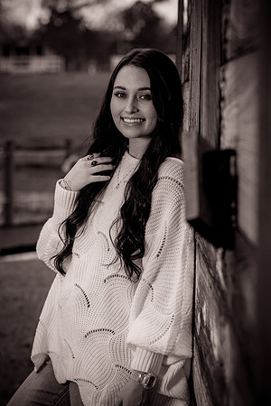 IMG_7068_sepia_b&w_twist