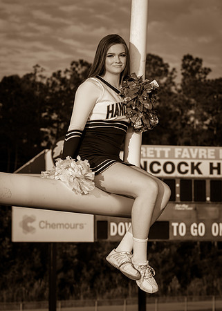 IMG_2650_sepia_tone