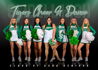 SHS Tigers Cheer & Dance Seniors 2025-2026