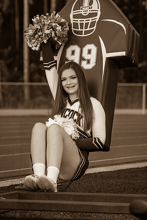 IMG_2683_sepia_tone