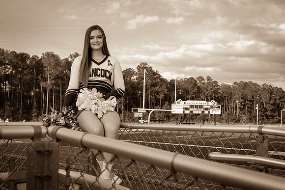 IMG_2599_sepia_tone
