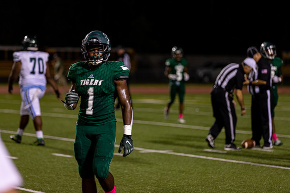 Tamaj Hoffman #1 (3)