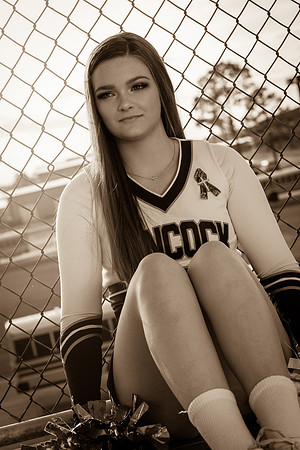 IMG_2520_sepia_tone