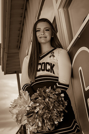 IMG_2538_sepia_tone